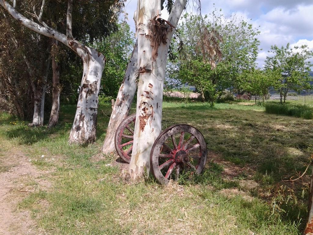 Agriturismo Spinalva Perfugas 外观 照片